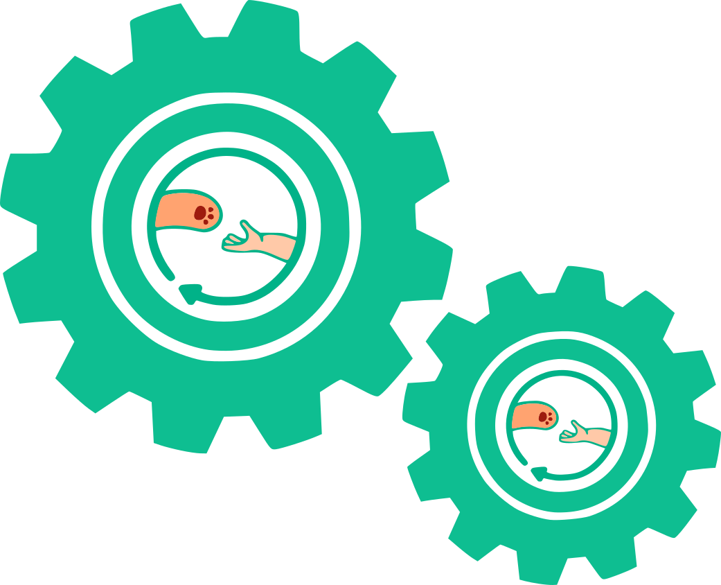 ¿Descubre Cómo Transformamos Transacciones?